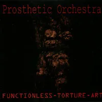 Functionless Torture Art cover