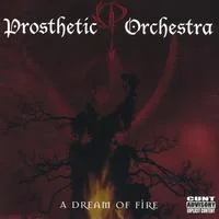 A Dream of Fire cover