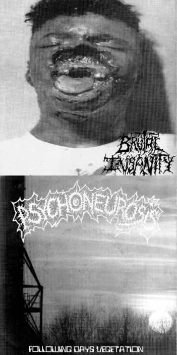 Untitled / Following Days Vegetation cover