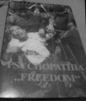 Freedom cover