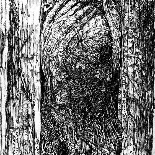 Delirio Dimensional cover
