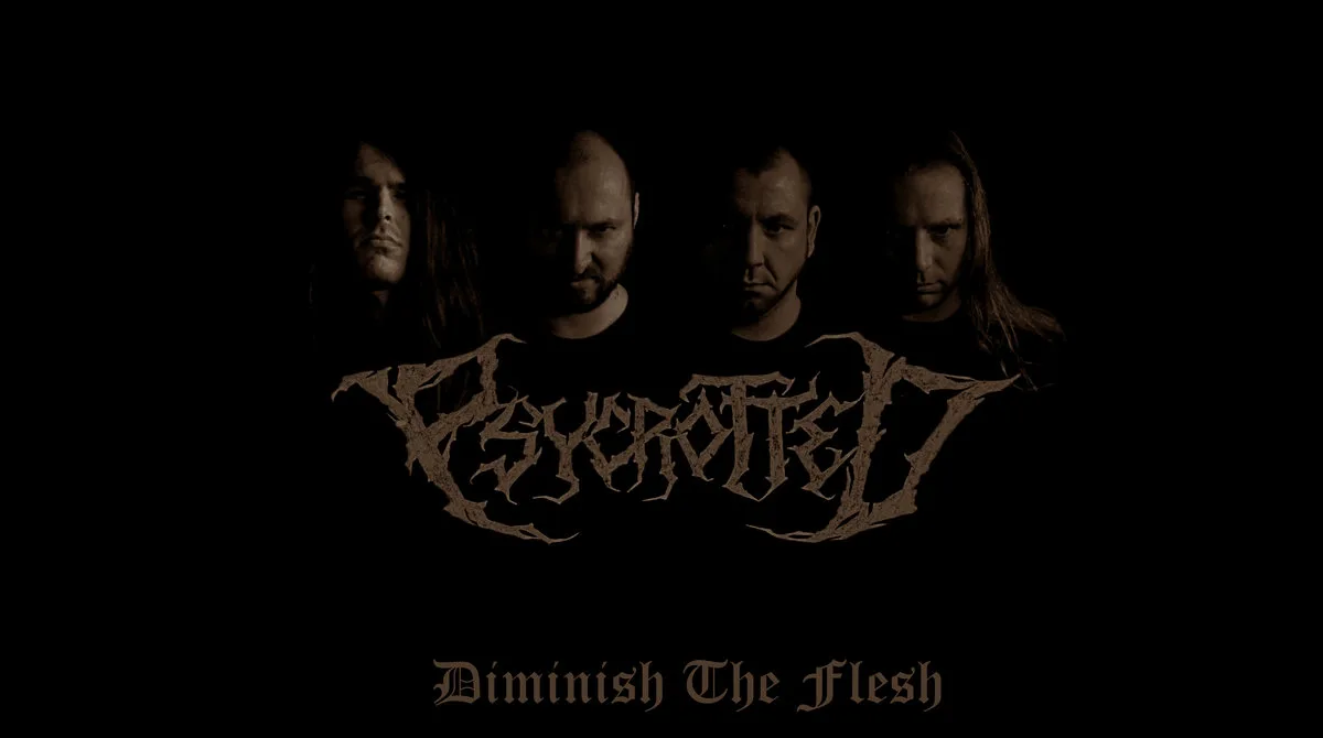 Diminish the Flesh cover