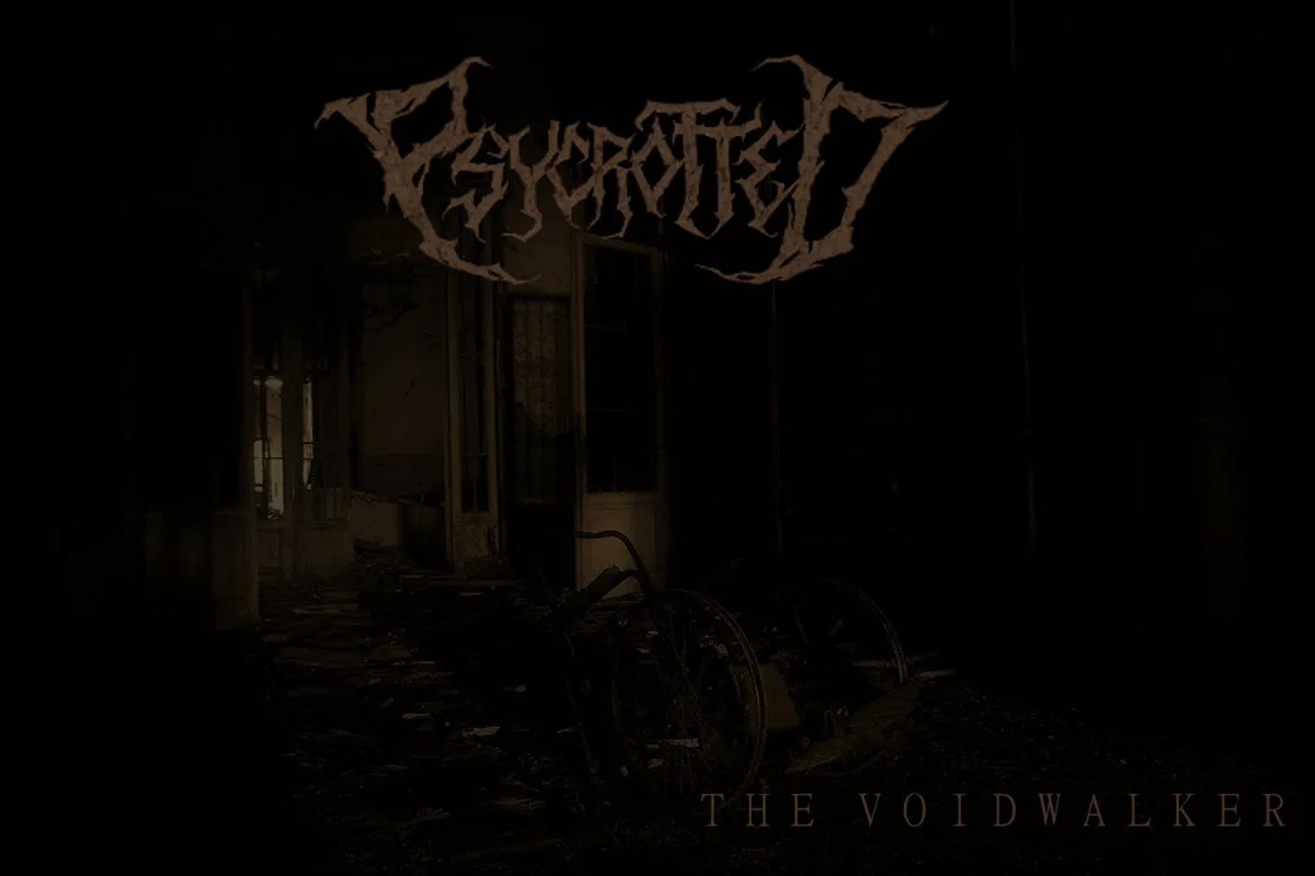 The Voidwalker cover