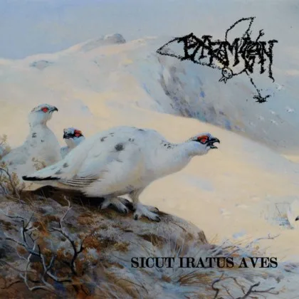 Sicut Iratus Aves cover