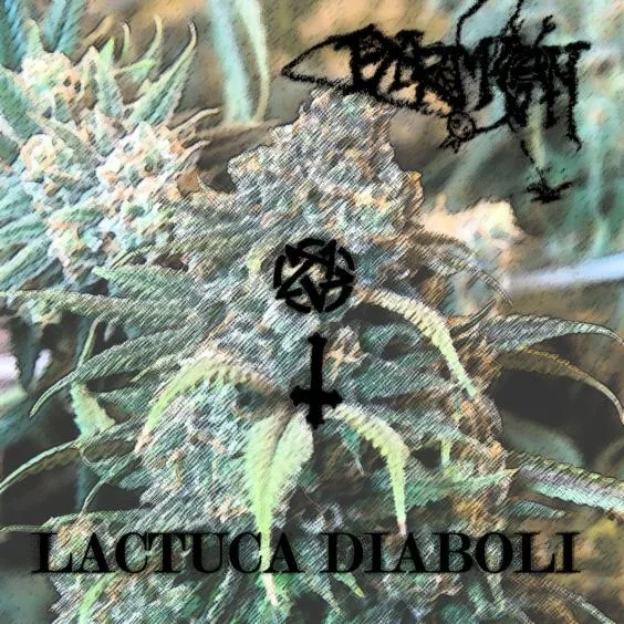 Lactuca Diaboli cover