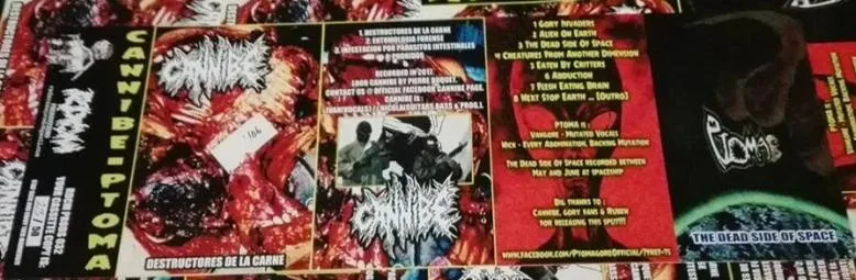 The Dead Side of Space / Destructores de la carne cover