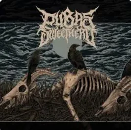 Pubas Sweet Hero cover