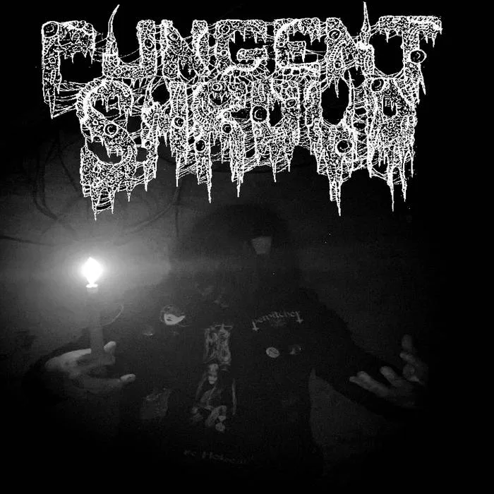 Demo cover