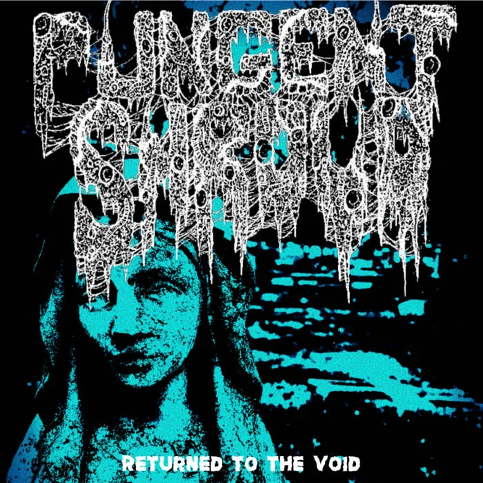 Returned to the Void cover