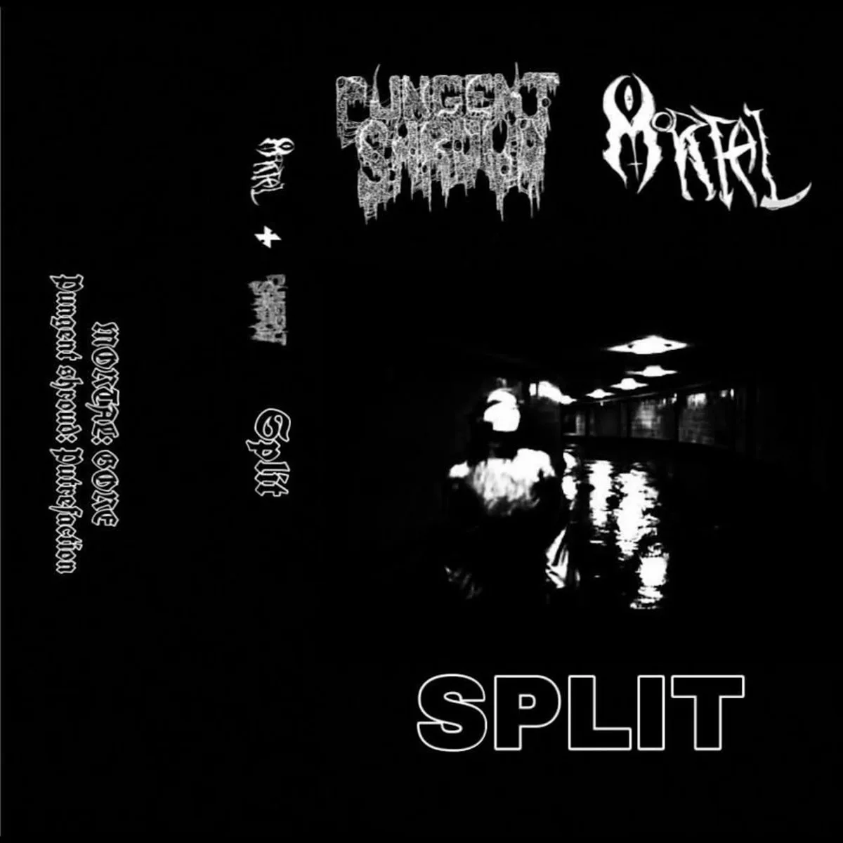 Mortal / Pungent Shroud cover