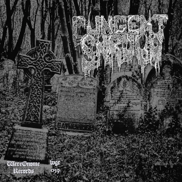 Demo Collection cover