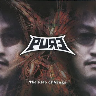 The Flap of Wings cover