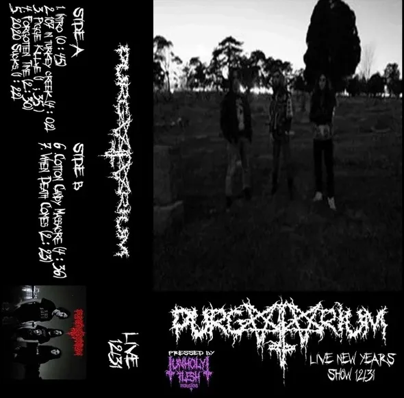 Live New Years Show 12/31 cover