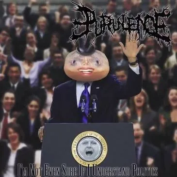 I'm Not Even Sure If I Understand Politics cover