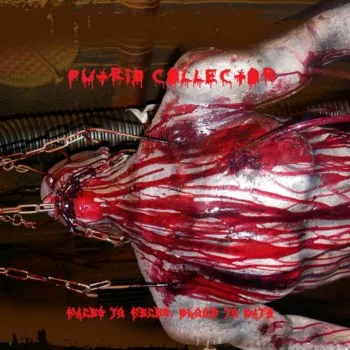 Faces to Feces, Blood to Bath cover