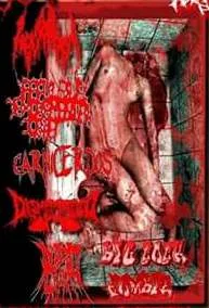 Split Tape cover