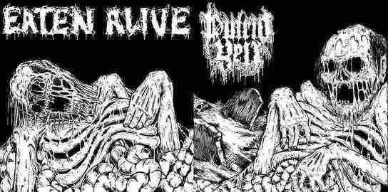 Vicious Manifestation of Horror and Death cover