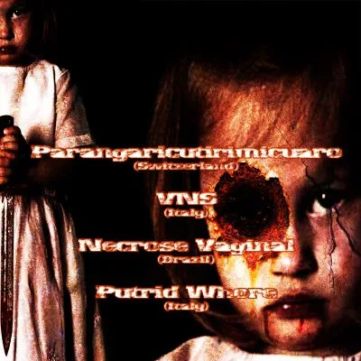 Parangaricutirimicuaro / VNS / Necrose Vaginal / Putrid Whore cover