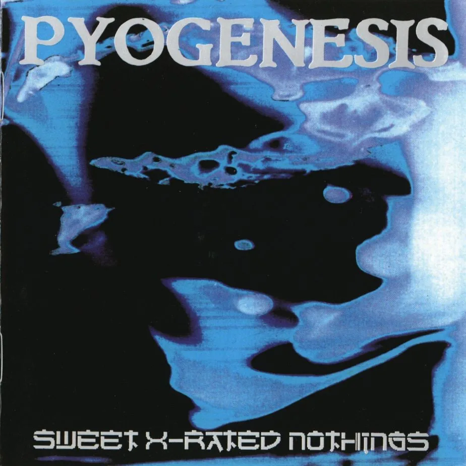 Sweet X-Rated Nothings cover