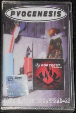 Love Nation Sugarhead / Freedom cover