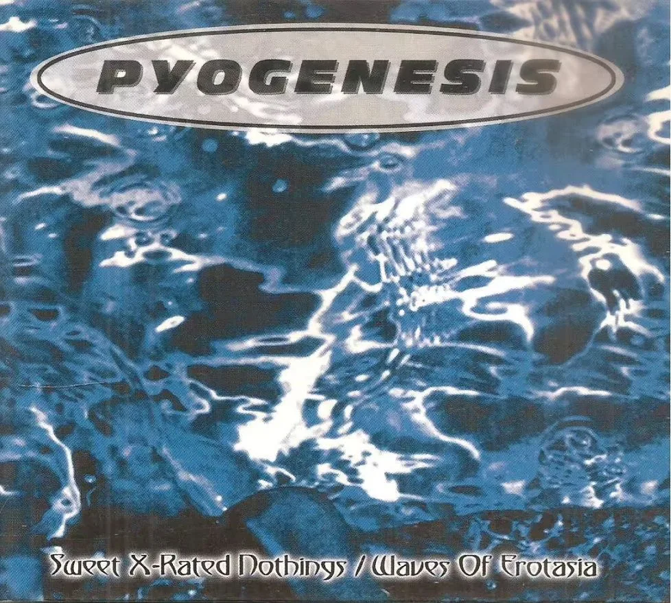 Sweet X-Rated Nothings / Waves of Erotasia cover