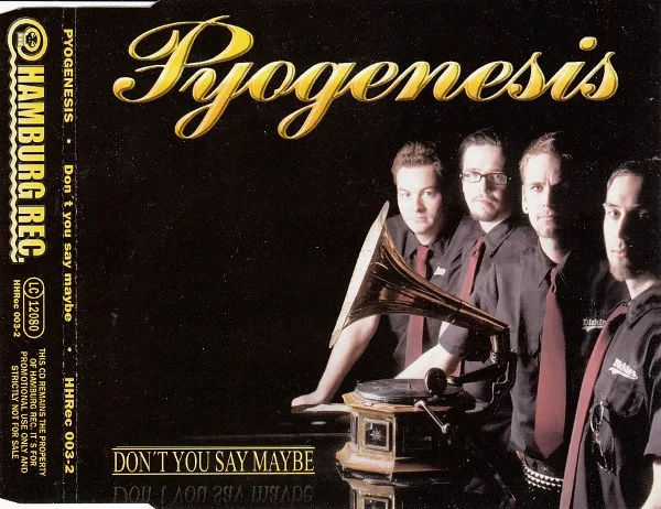 Don't You Say Maybe cover