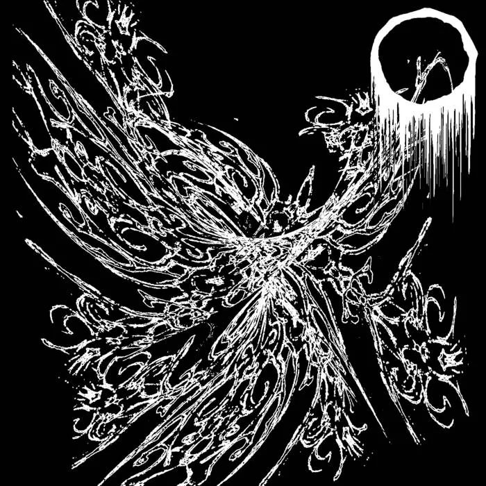 Ornamental Undoing cover