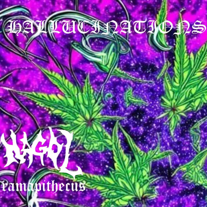 Hallucinations cover