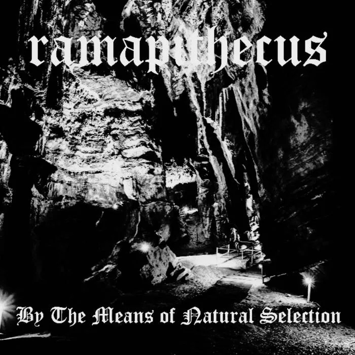 By the Means of Natural Selection cover