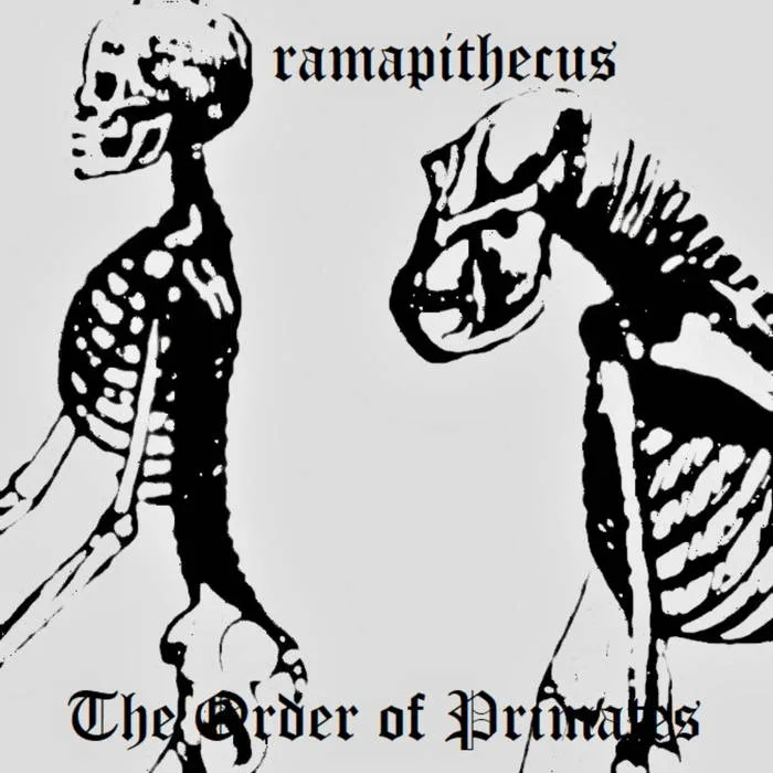The Order of Primates cover