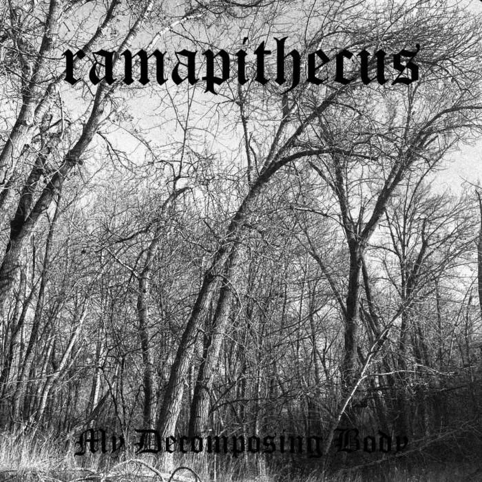 My Decomposing Body cover