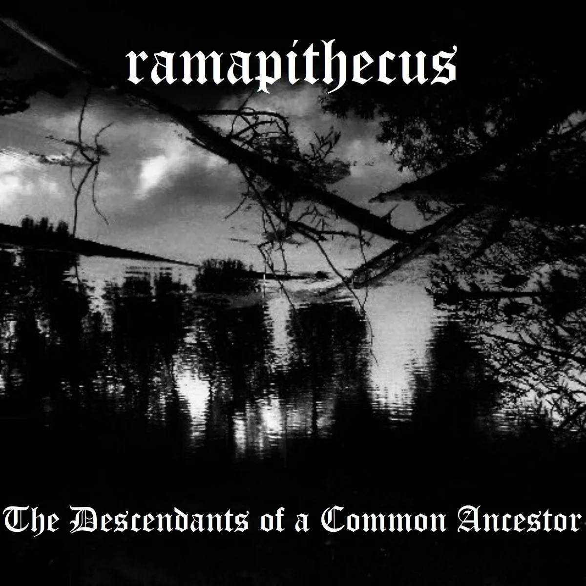 The Descendants of a Common Ancestor cover