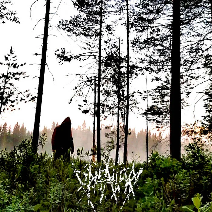 Piilotajunnan heijastuksia cover