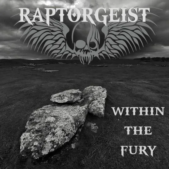 Within the Fury cover