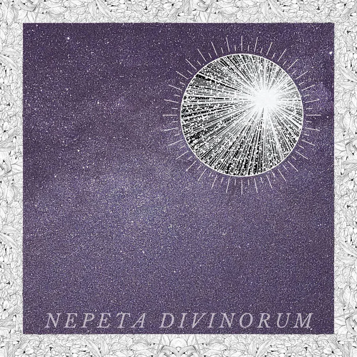 Nepeta Divinorum cover