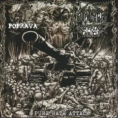 Pure Hate Attack cover