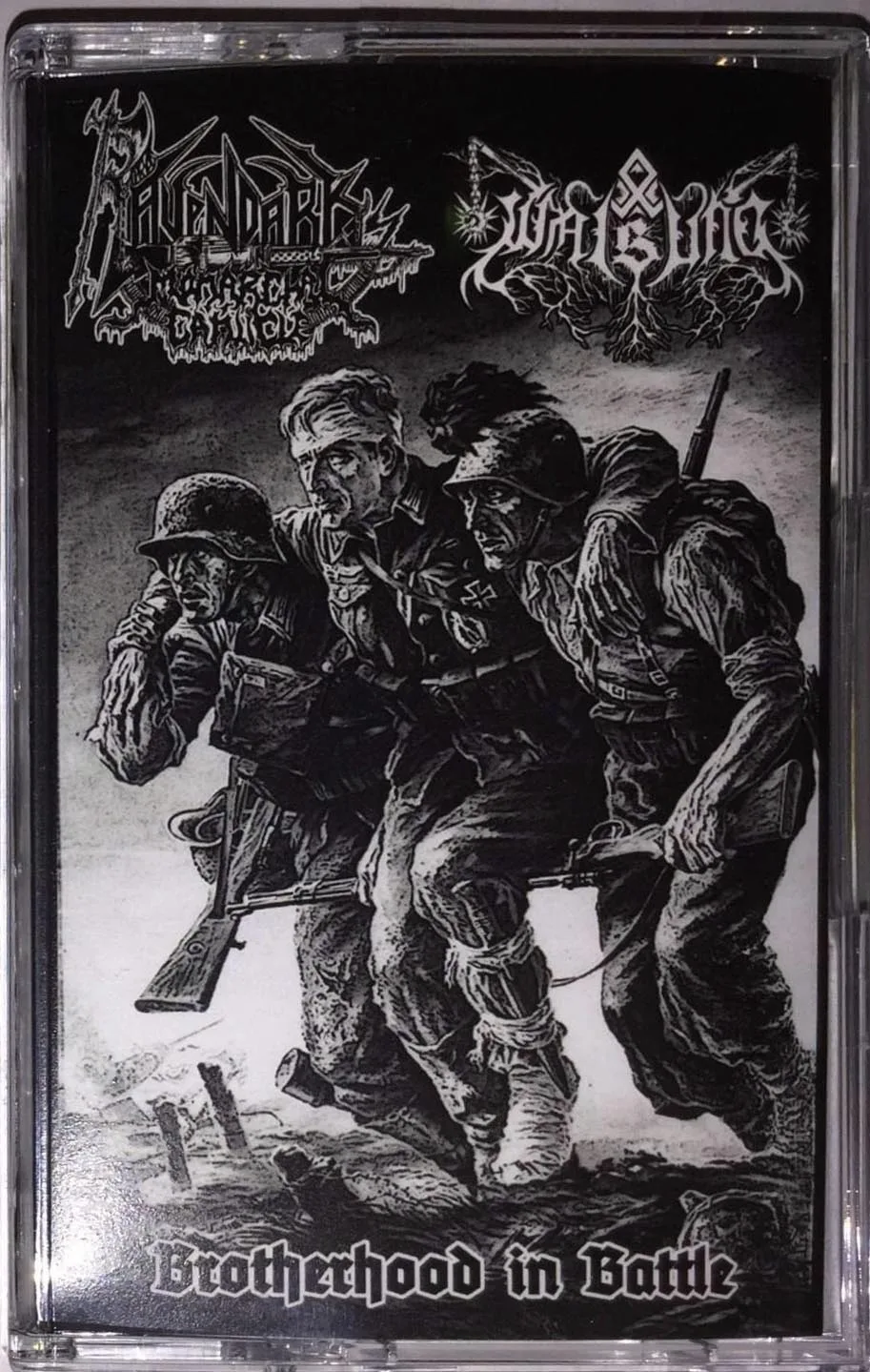 Brotherhood in Battle cover