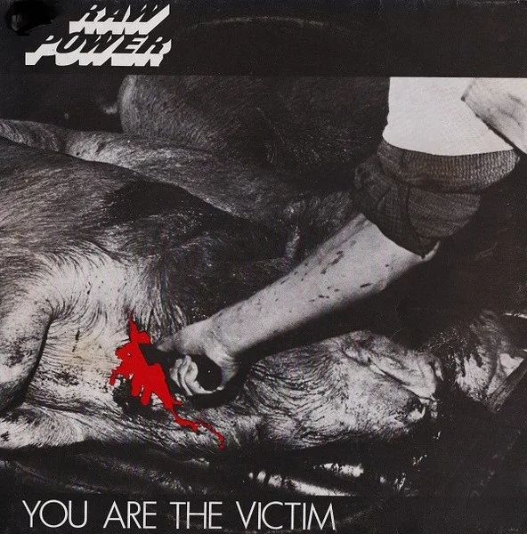 You Are the Victim cover