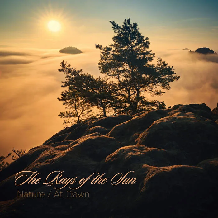 Nature / At Dawn cover