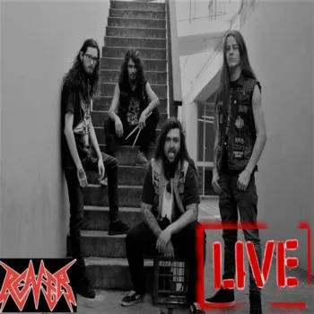 Live at the Valve cover