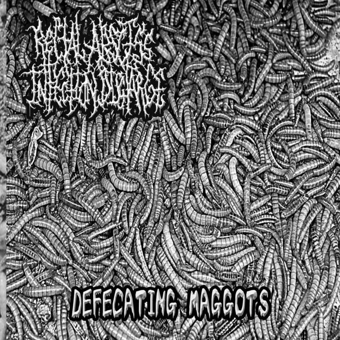 Defecating Maggots cover