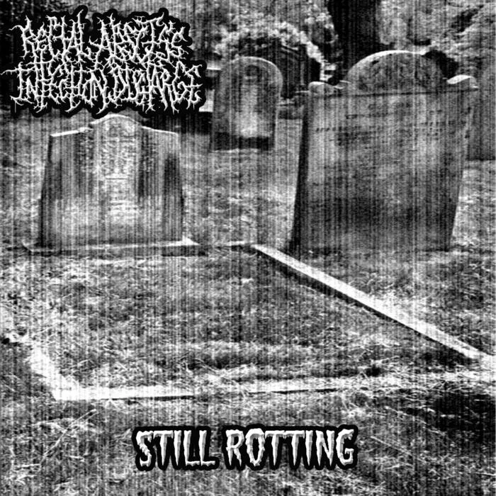 Still Rotting cover