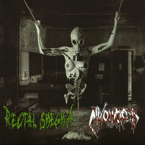 Rectal Smegma / Mixomatosis cover