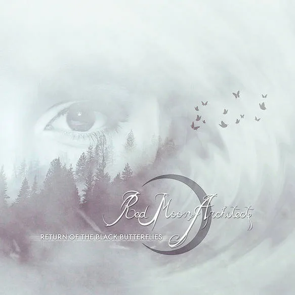 Return of the Black Butterflies cover