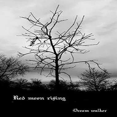 Dream Walker cover