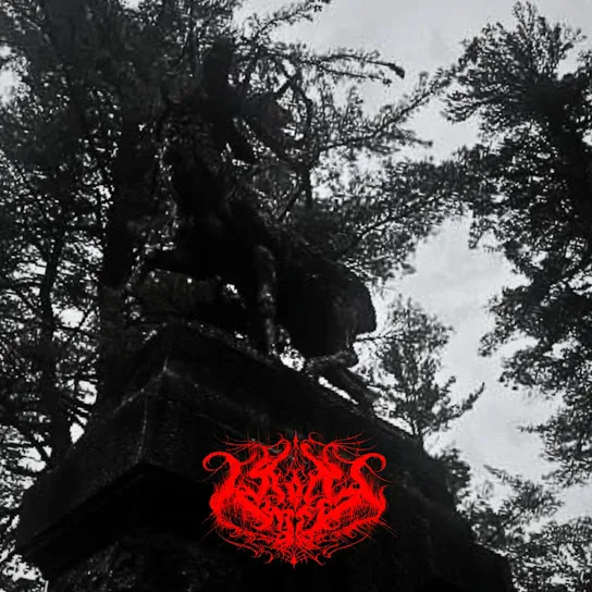 Back to the Shadows cover