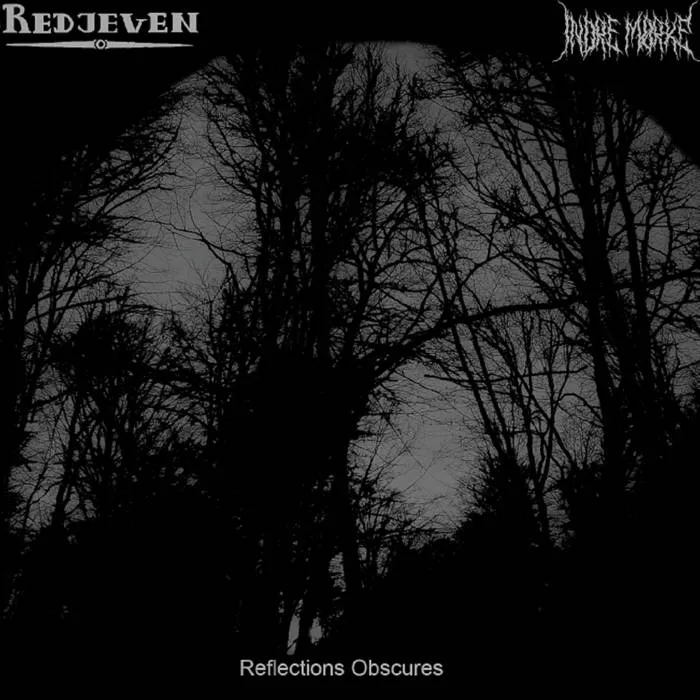 Reflections obscures cover