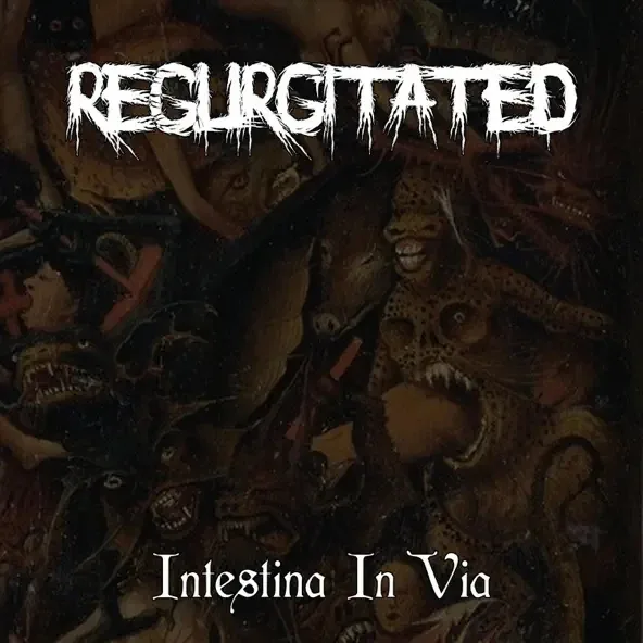 Intestina in Via cover