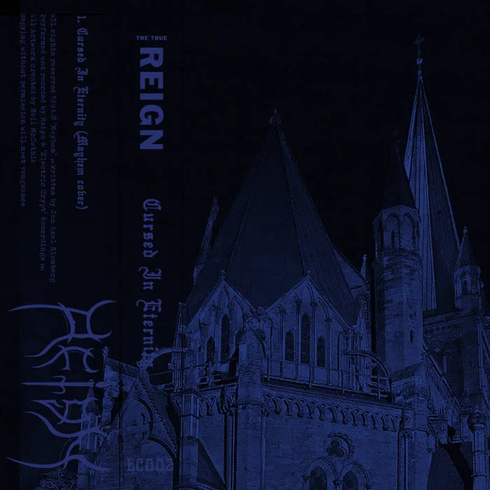 Cursed in Eternity cover