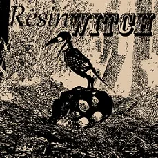 Crow's Nest cover